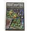 Image 1 : TEENAGE MUTANT NINJA TURTLES 2009 ERROR RECALL VARIANT