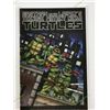 Image 1 : TEENAGE MUTANT NINJA TURTLES 2009 ERROR RECALL VARIANT