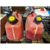 Image 3 : Lot of 2 - 1 Gal Gas Cans