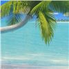 Image 2 : Palms on Parade by Mackin, Dan