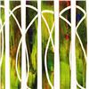 Image 2 : Aurora Borealis 1 by Marlowe Original
