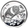 Image 1 : China (People's Republic), silver 1 oz proof official Panda issue, 1995, Munich International Coin S
