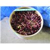 Image 4 : Lot of 12 gauge shotgun shell hulls in a paper barrel 21 inches tall by 19 inches round