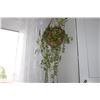 Image 3 : Hanging house plant