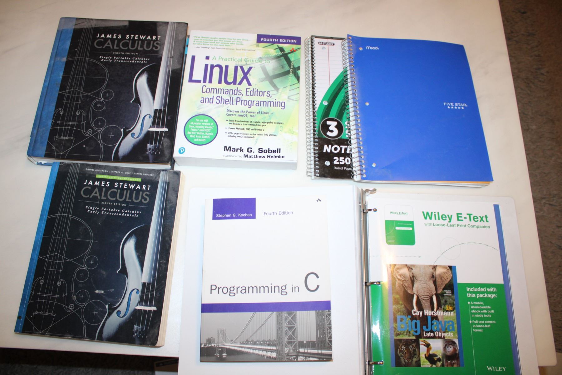 Computer Science and Calc books for University