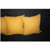 Image 2 : 4 Throw pillows