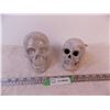 Image 1 : (2) Decorative Skulls