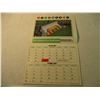 Image 2 : 1978 Saskatchewan Roughriders Football calendar