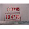 Image 1 : 1979 (pair) Yukon License Plates