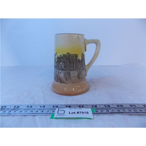 Bodiam Castle Royal Doulton Mug