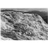 Image 1 : Adams - Jupiter Terrace, Fountain Geyser Pool, Yellowstone National Park