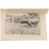 Image 11 : 1926 African Game Trails by Theodore Roosevelt