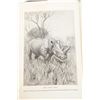 Image 14 : 1926 African Game Trails by Theodore Roosevelt