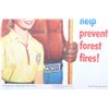 Image 11 : Smokey The Bear & U.S. Forest Service Fire Signs