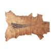 Image 1 : Northern Plains Painted Deer Hide c. 2000
