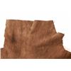 Image 3 : Northern Plains Painted Deer Hide c. 2000