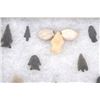 Image 7 : Transitional Paleo Period Artifact Collection