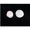 Image 16 : Civil War Artifacts, Bullets and Uniform Parts