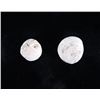 Image 17 : Civil War Artifacts, Bullets and Uniform Parts