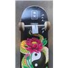 Image 8 : LONGBOARD AND SKATEBOARD