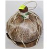 HANDMADE COCONUT GOURD