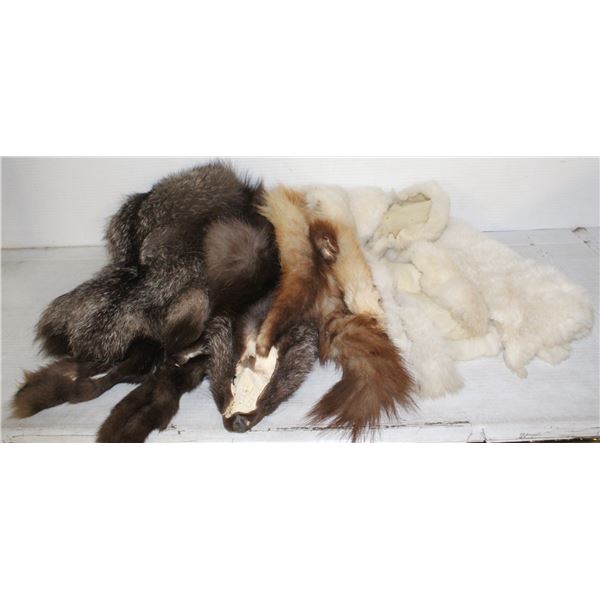 4 VARIOUS ANIMAL PELTS