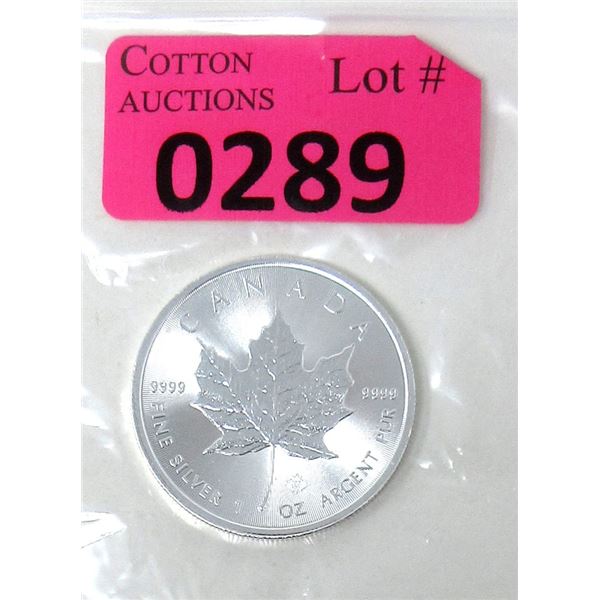 1 Oz. .9999 Silver 2019 Canada Maple Leaf Coin