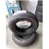 Image 1 : Pair of Weather Max All Season Tires