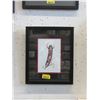 Image 1 : Richard Shorty Framed Print - Feather