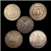 Image 2 : (5) Morgan Dollars NEARLY UNCIRCULATED