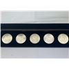 Image 2 : (5) Morgan Silver Dollar Set - UNC