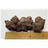 Image 1 : 17)  PETRIFIED DINOSAUR POOP, 94.6 GRAMS.