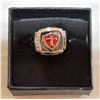 Image 1 : KNIGHTS TEMPLAR MENS RING 316L
