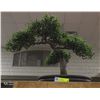 Image 1 : ARTIFICIAL 16" TALL BONSAI TREE