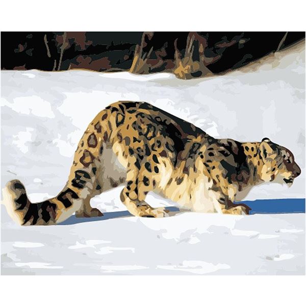 NEW DIY PAINT BY NUMBERS KIT LEOPARD