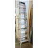 Image 1 : 8' ALUMINUM LADDER
