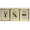 Image 1 : SET OF 3 INSECT LITHOGRAPHS FRAMED
