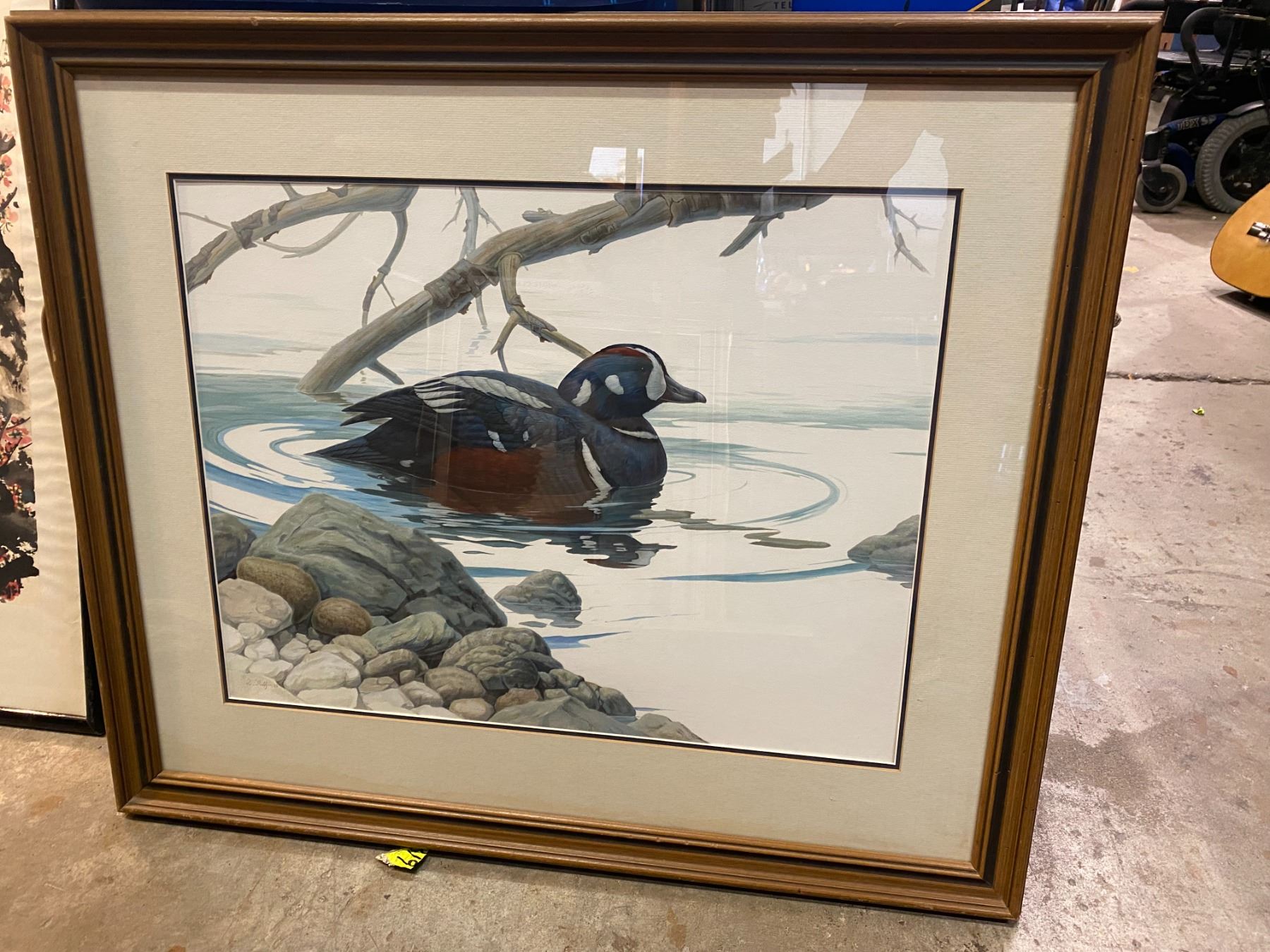 Harlequin duck painting for Duck Unlimited by Luke Raffin 33 by 28 inches