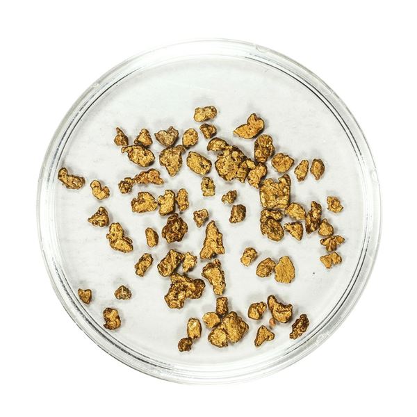 Lot of Gold Nuggets 2.80 Grams Total Weight