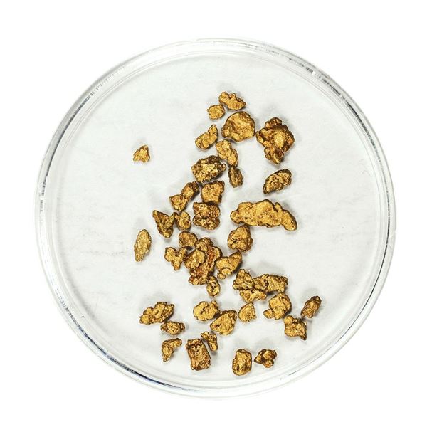 Lot of Gold Nuggets 2.53 Grams Total Weight