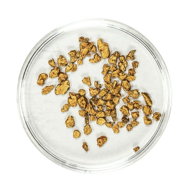 Lot of Gold Nuggets 2.80 Grams Total Weight