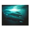 Image 1 : The Great Sperm Whale by Wyland
