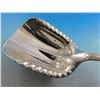 Image 4 : Sterling Silver Cracker Scoop Tiffany and Co