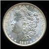 Image 1 : 1887 Morgan Dollar Choice+ Uncirculated (COI-4091)