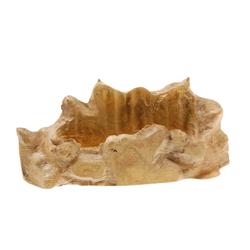Solid Burl Card Stand Rare Afzelia (DEC-090)