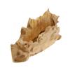 Image 3 : Solid Burl Card Stand Rare Afzelia (DEC-090)