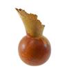 Image 2 : Hand Carved Afzelia Burl Wood Vase  (DEC-163)