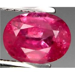 1.68ct RARE Top AAA  Pink Sapphire Nigeria VS RETAIL $1550 (GEM-7982)