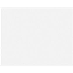 1.33ct RARE Top AAA Mozambique Pink Red Ruby VVS RETAIL $1200 (GEM-7988)