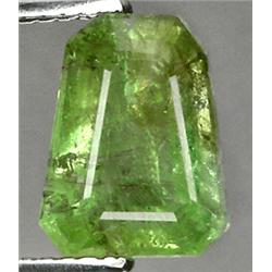 2.98ct RARE Fancy Cut Green Paraiba Tourmaline VS RETAIL $3150 (GEM-8292)